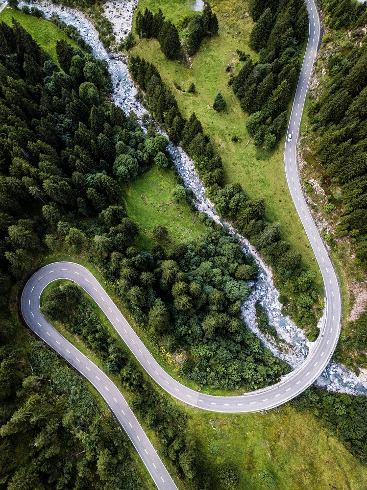 road_through_forest